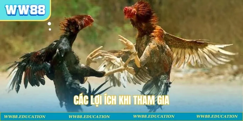 Các lợi ích khi tham gia