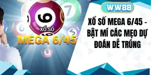 Xổ Số Mega 6/45 - Bật Mí Các Mẹo Dự Đoán Dễ Trúng